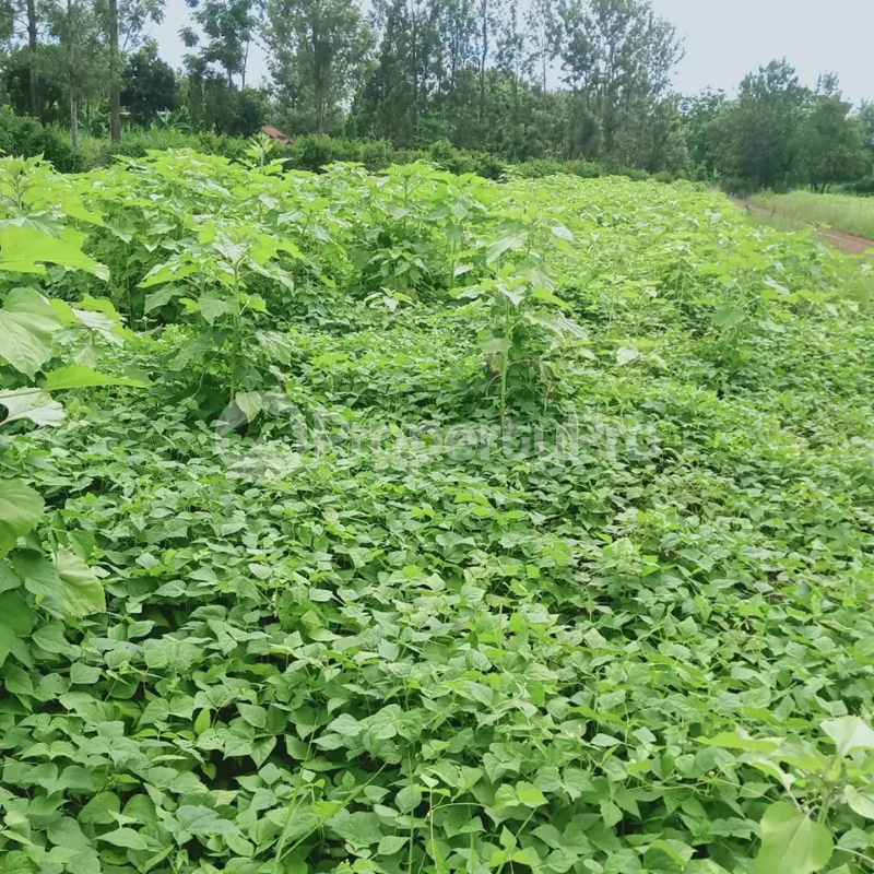 Land for sale Karen Nairobi