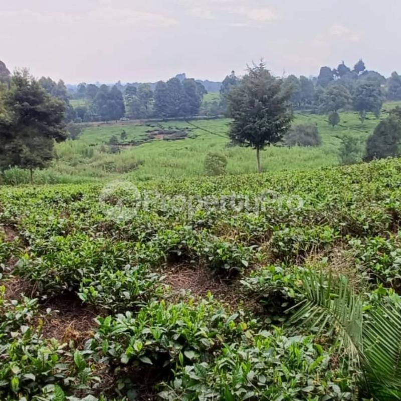 Land for sale Tigoni Limuru