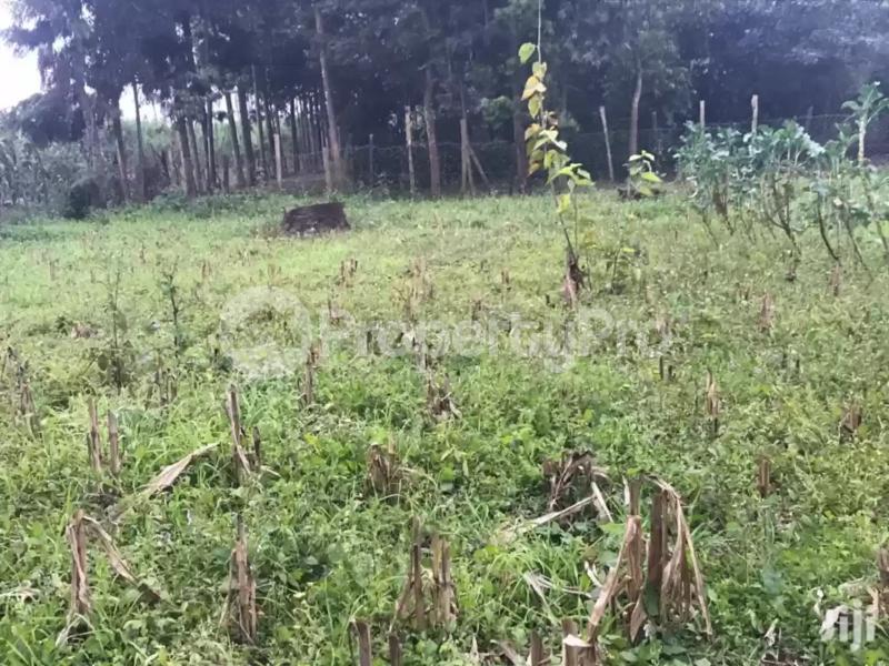 Land for sale Limuru Central Kiambu
