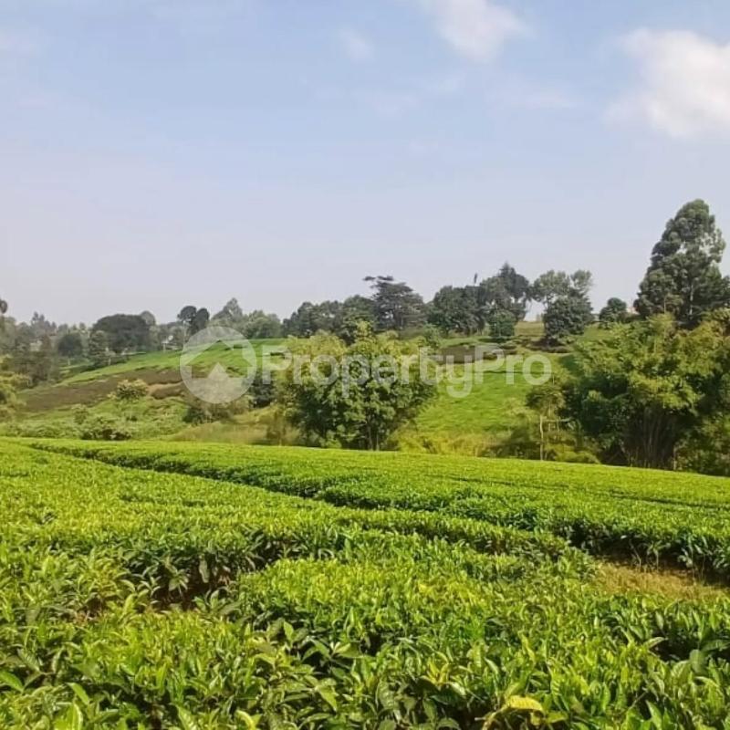 Land for sale Tigoni Limuru