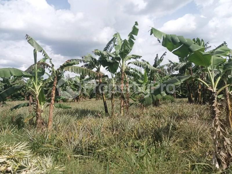Land for sale Zirobwe wabitungulu Luweero Central - 0
