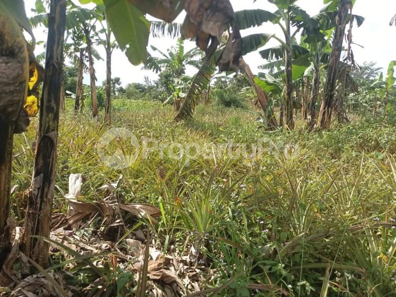 Land for sale Zirobwe wabitungulu Luweero Central - 1