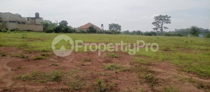 Land for sale Kira kimwanyi under kira municipality  Kira Wakiso Central - 4