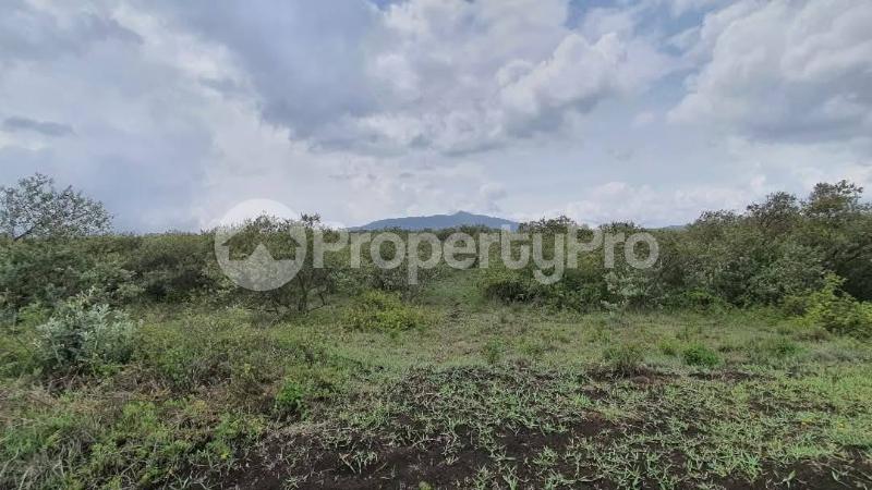 Land for sale Naivasha Kedong, 6.5km off Moi South Lake Road, next to Longonot Gates, Naivasha East Nakuru