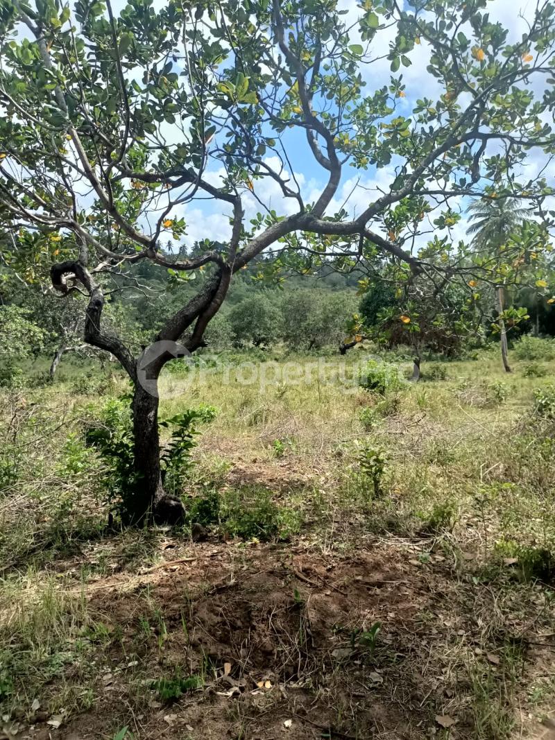 Residential Land for sale Ukunda Ukunda Kwale (PID 3AMWP) PropertyPro