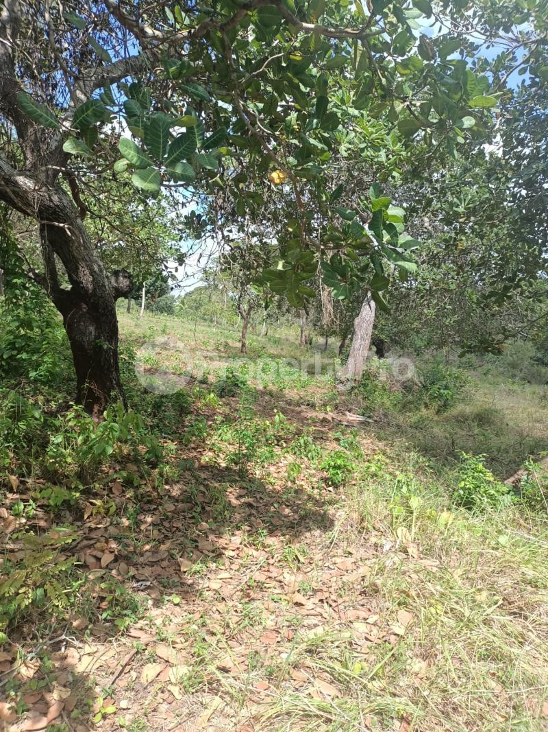 Residential Land for sale Ukunda Ukunda Kwale (PID 3AMWP) PropertyPro