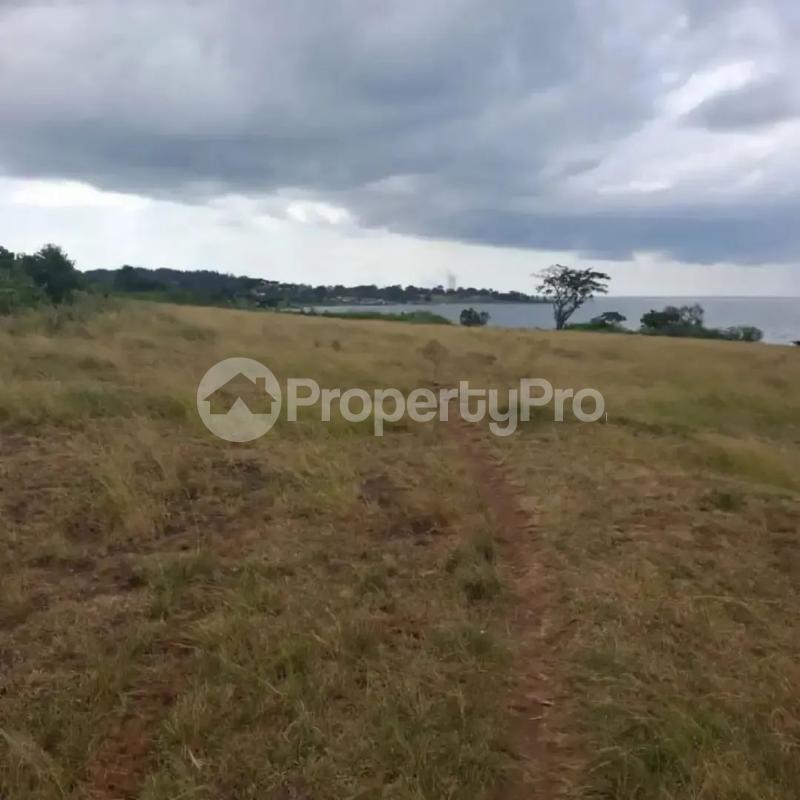 Land for sale Garuga Entebbe road  Kampala Central Kampala Central - 3
