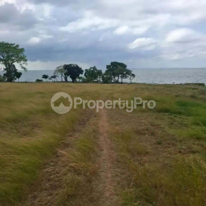 Land for sale Garuga Entebbe road  Kampala Central Kampala Central - 4