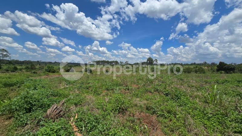 Land for sale Mpoma  Mukono Mukono Central - 0