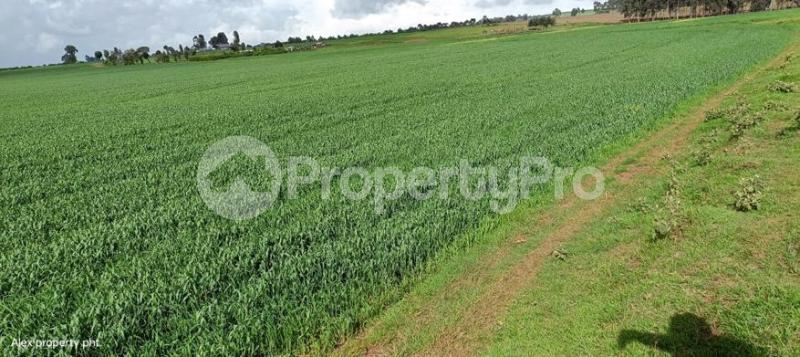 Agricultural Land for sale Timau, Meru Meru