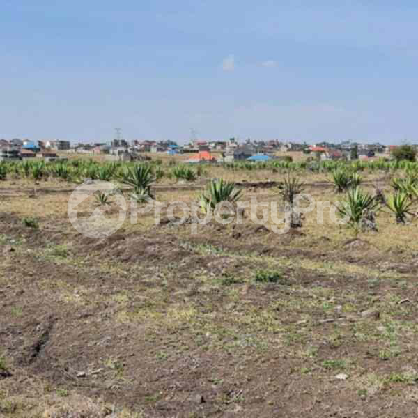 Land for sale Katani Syokimau Nairobi