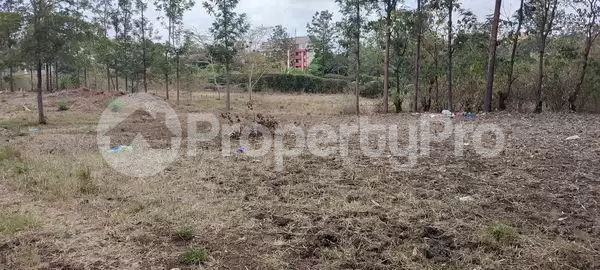 Land for sale Ruiru Kiambu
