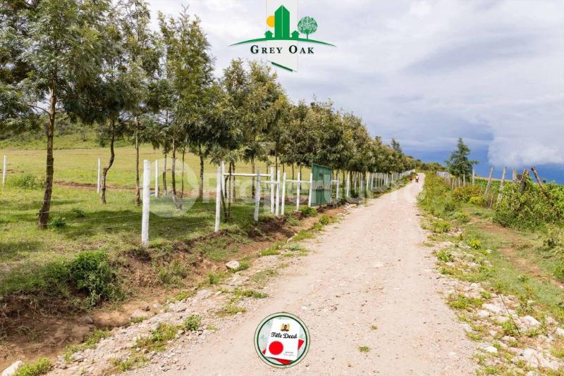 Land for sale Naivasha East Nakuru