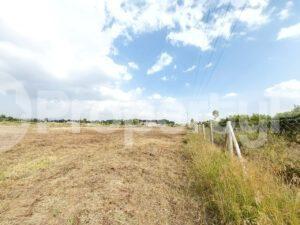 Land for sale Naivasha East Nakuru