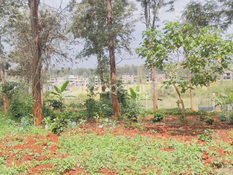 Land for sale Ruiru Kiambu