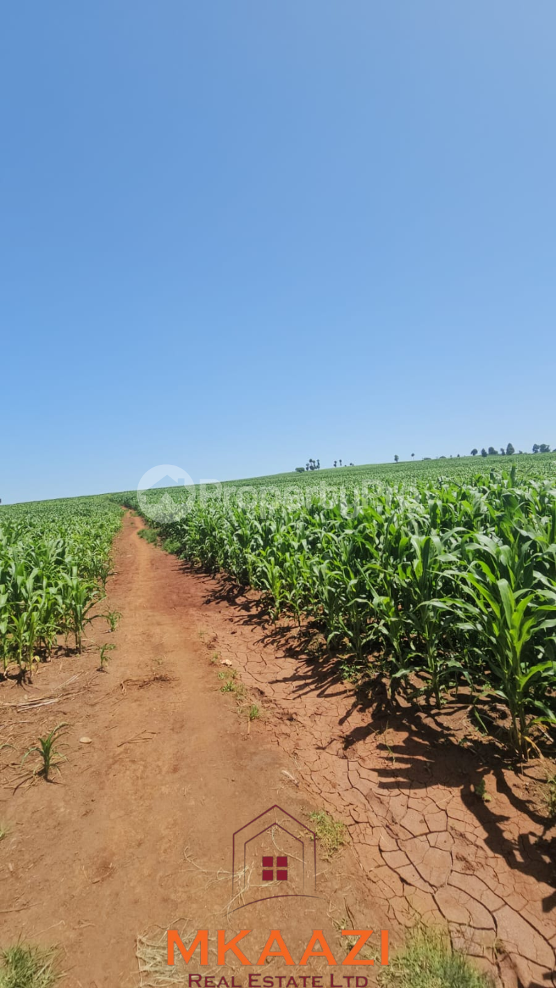 Land for sale Subukia Nakuru
