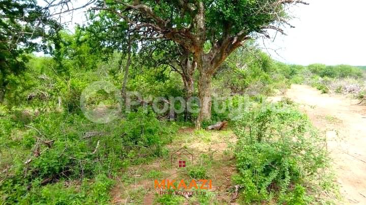 Land for sale Igembe Central Meru