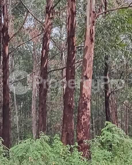 Land for sale Kayunga Galiraya  Kayunga Central - 2