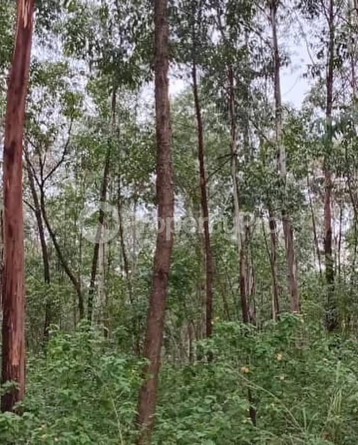 Land for sale Kayunga Galiraya  Kayunga Central - 5