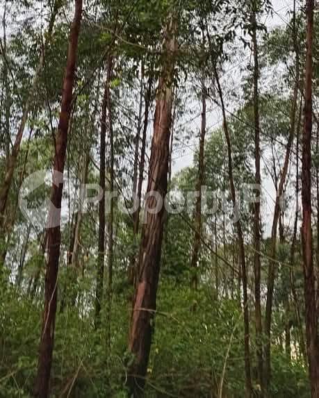 Land for sale Kayunga Galiraya  Kayunga Central - 0