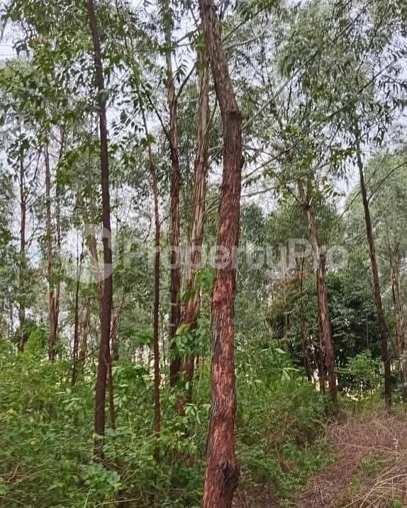 Land for sale Kayunga Galiraya  Kayunga Central - 1