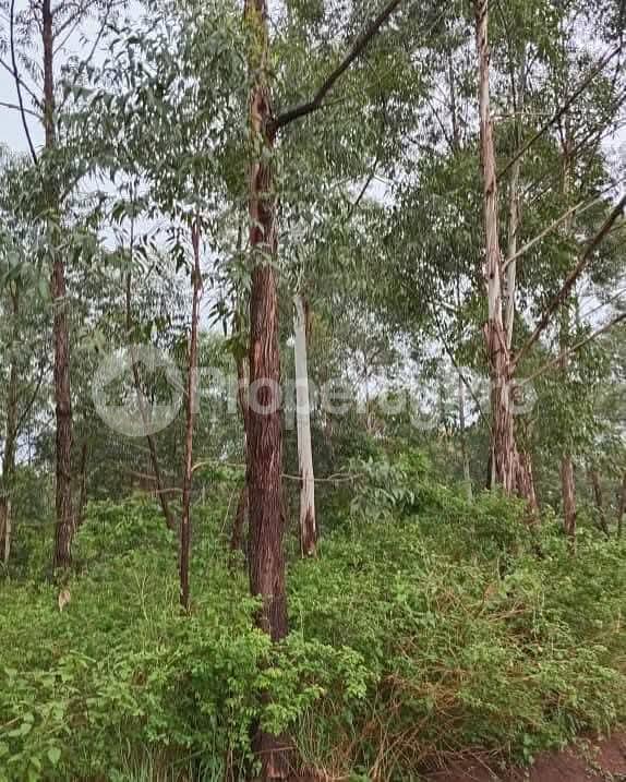 Land for sale Kayunga Galiraya  Kayunga Central - 6