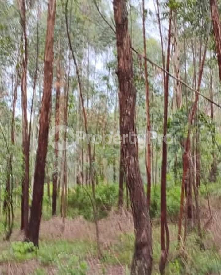 Land for sale Kayunga Galiraya  Kayunga Central - 4