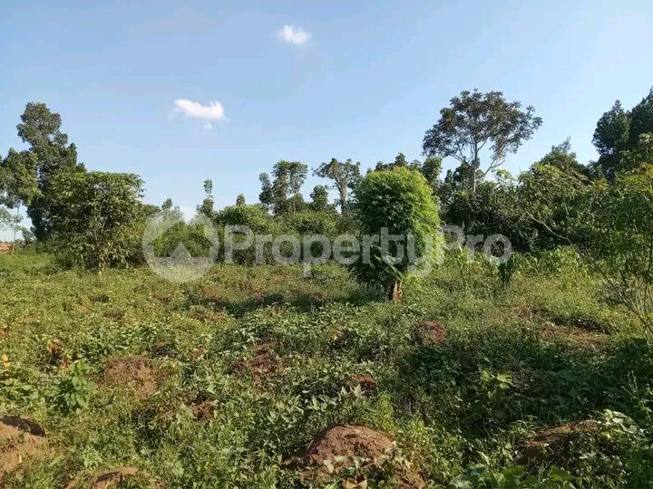 Land for sale Kira kasangati road  Kira Wakiso Central - 1