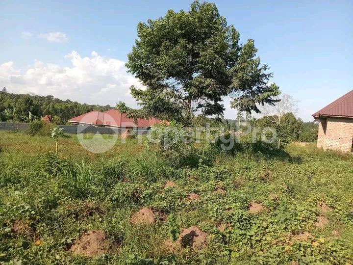 Land for sale Kira kasangati road  Kira Wakiso Central - 2