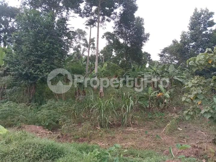 Land for sale Namugongo road  Kampala Central Kampala Central - 3
