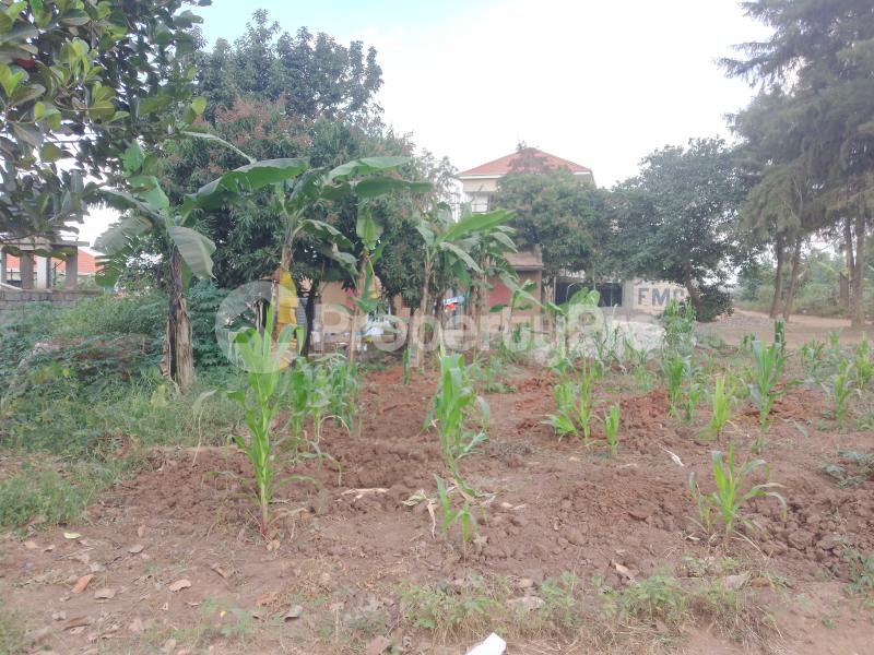 Land for sale Seeta lumuli  Mukono Mukono Central - 3