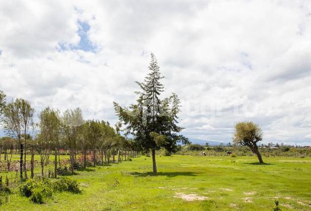Land for sale Kilele View 3, Nanyuki Nanyuki