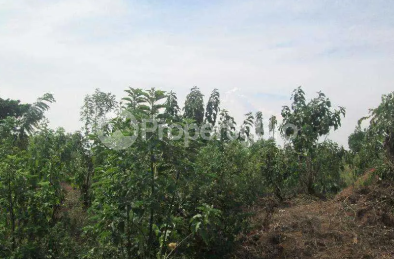 Land for sale Kampala Central - 1