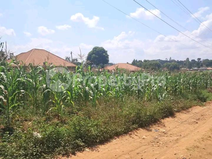 Land for sale Kira road  Kampala Central Kampala Central - 6