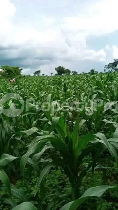 Land for sale Kakooge Nakaseke Central - 0