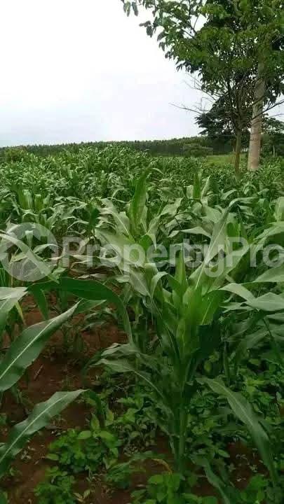 Land for sale Kakooge Nakaseke Central - 2