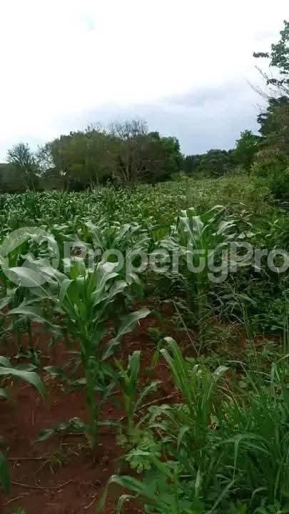 Land for sale Kakooge Nakaseke Central - 1