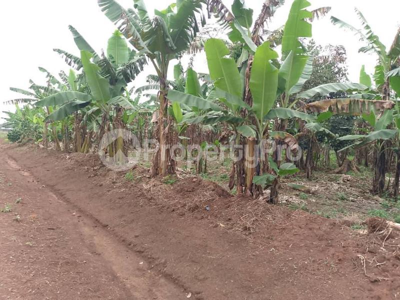 Land for sale Kaperka kyanya Nakaseke Central - 3