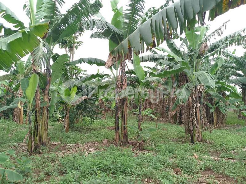 Land for sale Kaperka kyanya Nakaseke Central - 2
