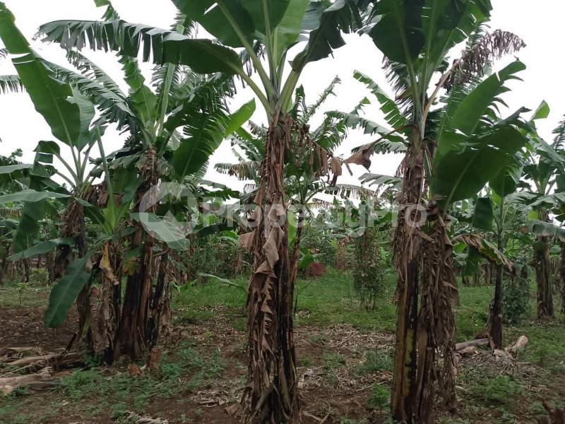 Land for sale Kaperka kyanya Nakaseke Central - 1