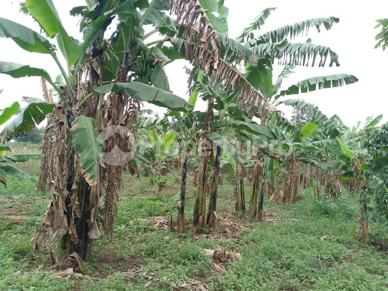 Land for sale Kaperka kyanya Nakaseke Central - 0