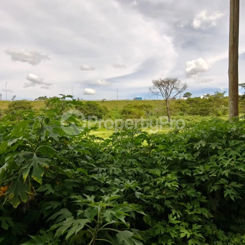 Land for sale Juja Kiambu