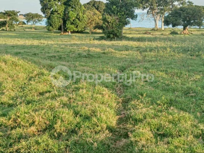 Land for sale Garuga Entebbe road  Kampala Central Kampala Central - 0