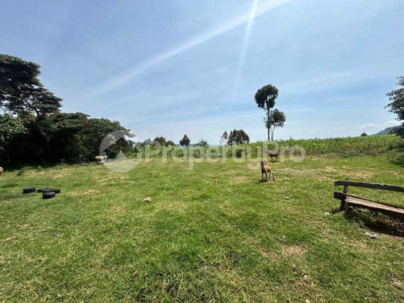 Land for sale Subukia Nakuru