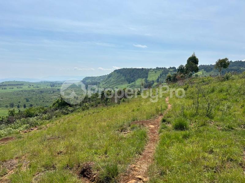 6 bedroom Land for sale Subukia Nakuru