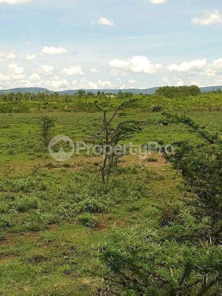 Land for sale Nanyuki Nanyuki