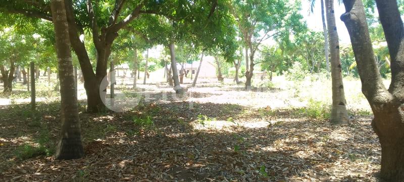 Land for sale Kilifi North Kilifi
