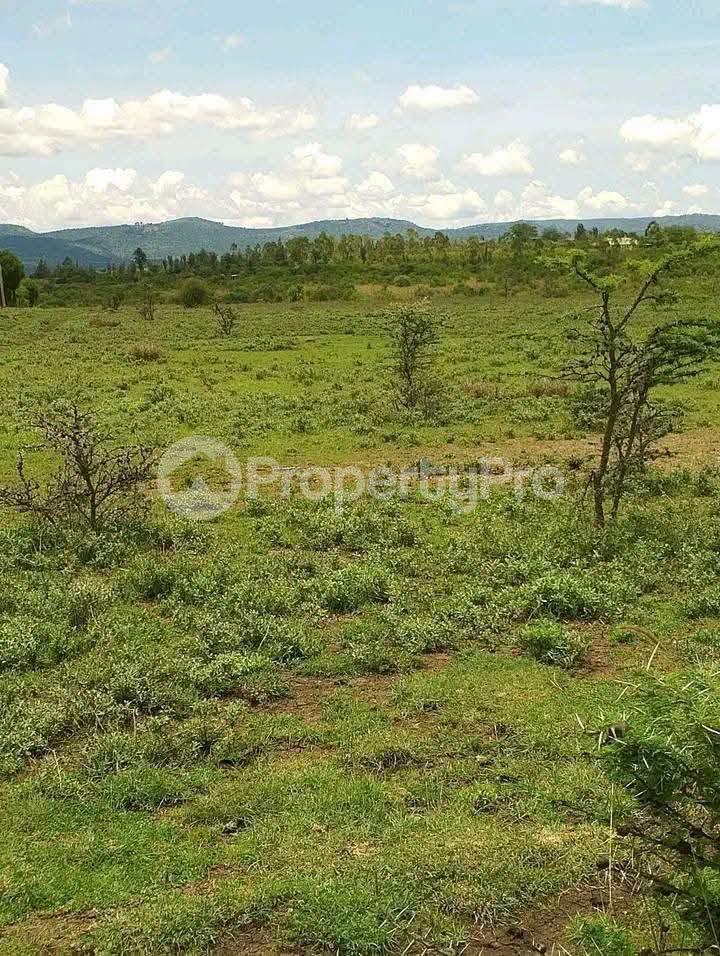 Land for sale Nanyuki Nanyuki