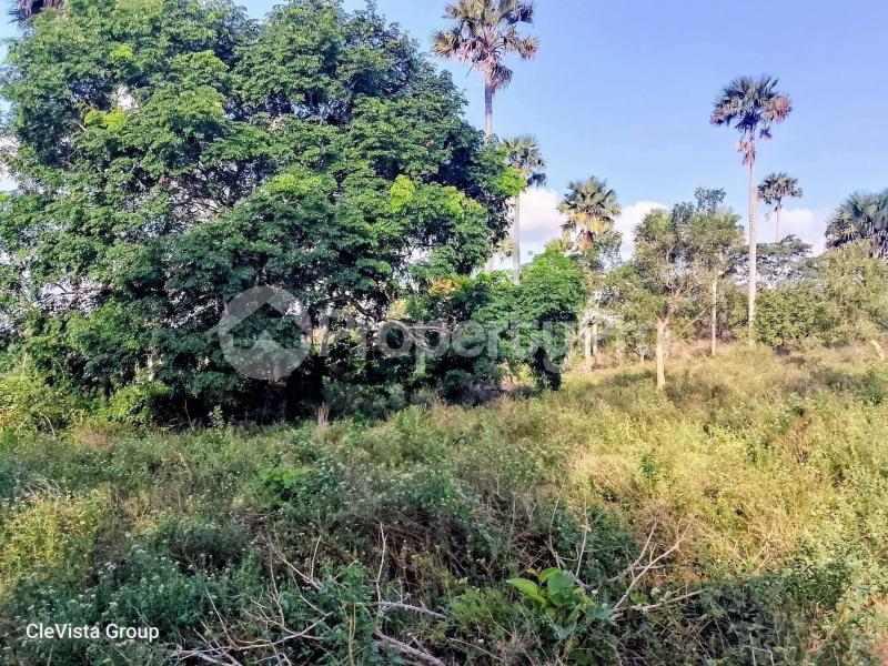 Land for sale Lunga Lunga Kwale