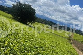 Land for sale Tigoni Limuru